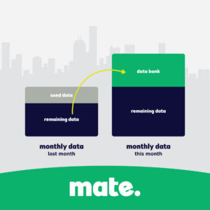 MATE Mobile Data Banking