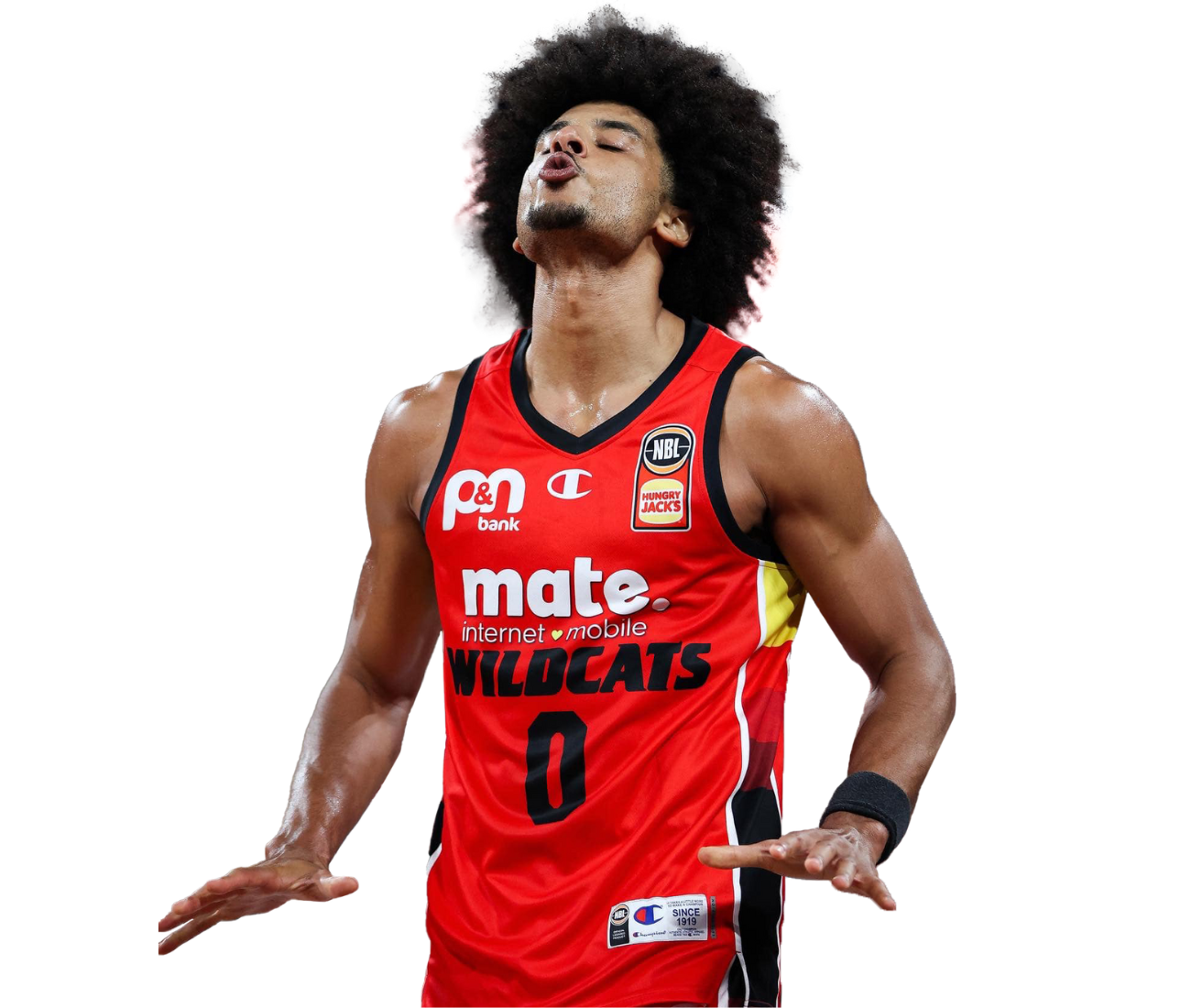 perth-wildcats-tai-webster-1