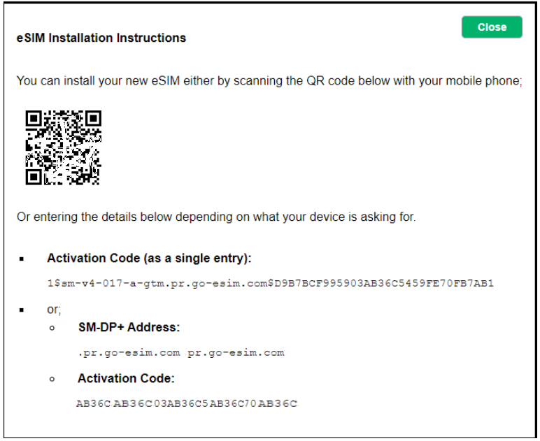 Esim Instructions